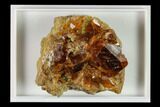 Orange Grossular Garnet Cluster - Bishop, California #131343-1